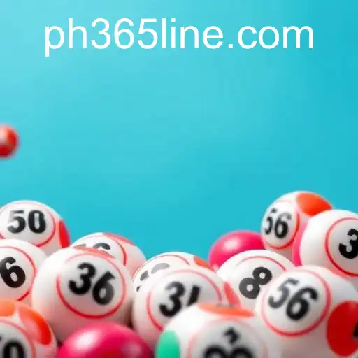 Exploring the World of Bingo Games with PH365